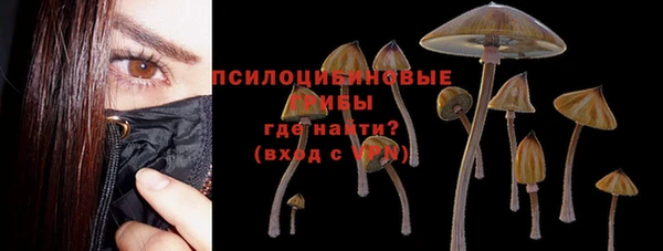 jwh Алзамай
